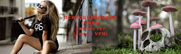 стаф Белокуриха