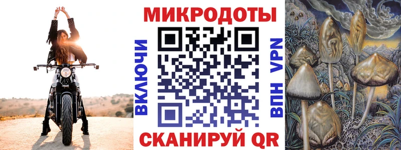Галлюциногенные грибы Psilocybine cubensis  Буинск 